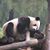 Denise Fagan's profile image
