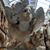 Amber McKown-finken's profile image