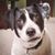 Doug Sugai's profile image
