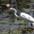 Maryann Irwin- Kierych's profile image
