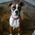 Sherrie Bechard's profile image