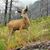 Sarah LaRonge's profile image
