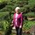 Nan Burke's profile image