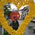 Helena Maria Lima's profile image