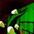 Luca Pop's profile image