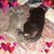 Tarri Olds's profile image