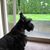Ae Duston's profile image