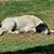 Keri Ann Dunn Heath's profile image