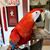 Ron A. Drake's profile image