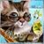 Mary A Berthiaume's profile image