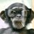 Dave Kopcho's profile image