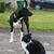 Jacque Carder's profile image
