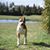 Kelly N Betty's profile image