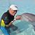 Vanderlei P Freitas's profile image