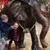 Brittany Knudson-Buxton's profile image