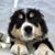 Kathy Ann Boots's profile image
