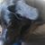 Stephanie Jessen's profile image