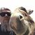 Michael Ashbridge's profile image