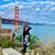 Tehila Avraham's profile image