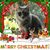 Mary Ann Dekan Parent's profile image