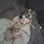 Barbara Valeta Diffendal's profile image