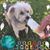 Ginger Spalding's profile image