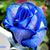 Diane Baudour's profile image