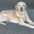 Misty Portash's profile image