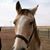 Carol Lane's profile image