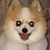 Donald Robert Schellenberg's profile image