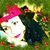 Jean Marie Casey's profile image