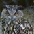 Rich Stephenson's profile image