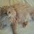 Sheri Best's profile image