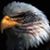 Bob Mueller's profile image