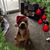 Christina Hein Foraker's profile image
