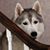 Donna Bates's profile image