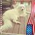 Cheryl Sinclair-Jenkins's profile image