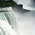 Sharon Boisvert's profile image