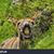 Glenn Smith's profile image