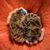 Debra Yvonne Mathis's profile image