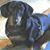 Jana Boothe's profile image