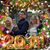 Katherine Nicoll Callard's profile image