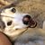 Amanda Valerio's profile image