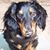 Lori Ann's profile image