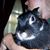 Lisa Wambold Gutsche's profile image