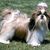 Renee Miller's profile image