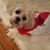 Patricia Navarro's profile image
