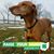 Brenda Sandman-Stover's profile image