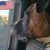 Mark Hillard's profile image