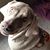 Misty Sutherin Norman's profile image